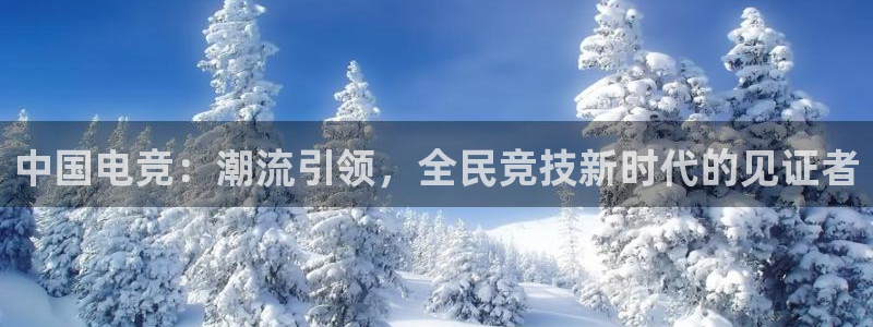 小艾电竞平台官方网：中国电竞：潮流引领，全民竞技新时代的见证者