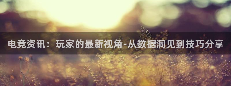 小艾电竞平台官方网：电竞资讯：玩家的最新视角-从数据洞见到技巧分享