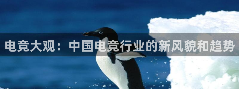 小艾电竞平台：电竞大观：中国电竞行业的新风貌和趋势