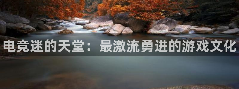 小艾电竞平台官方网：电竞迷的天堂：最激流勇进的游戏文化